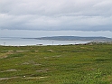 Obraz 261